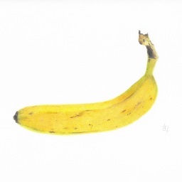[Private Collection] Banana